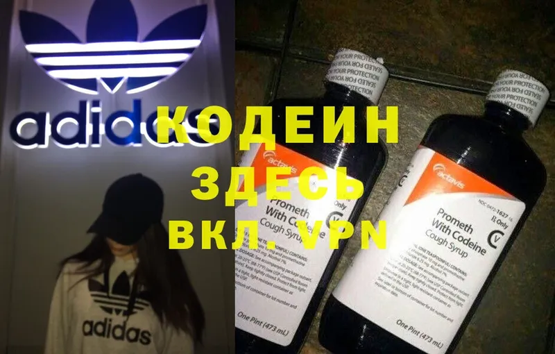 купить закладку  Краснозаводск  Кодеин Purple Drank 